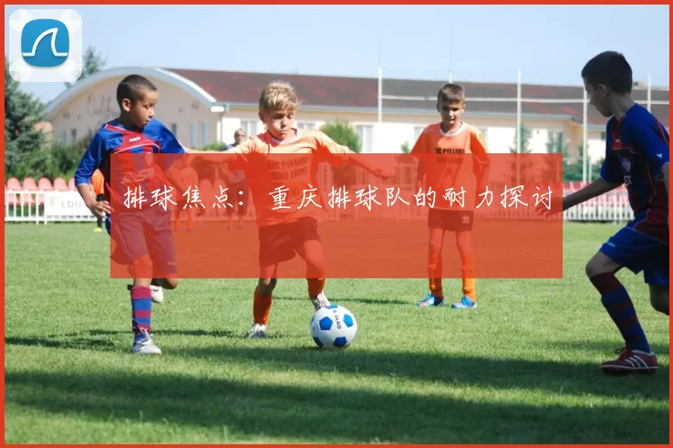 排球焦点：重庆排球队的耐力探讨