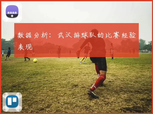 数据分析：武汉排球队的比赛经验表现
