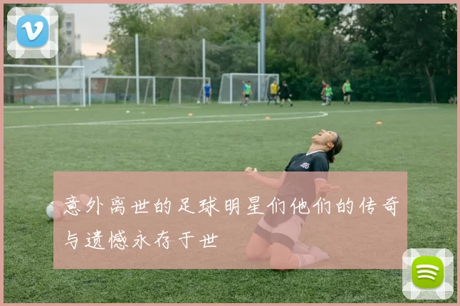 意外离世的足球明星们他们的传奇与遗憾永存于世