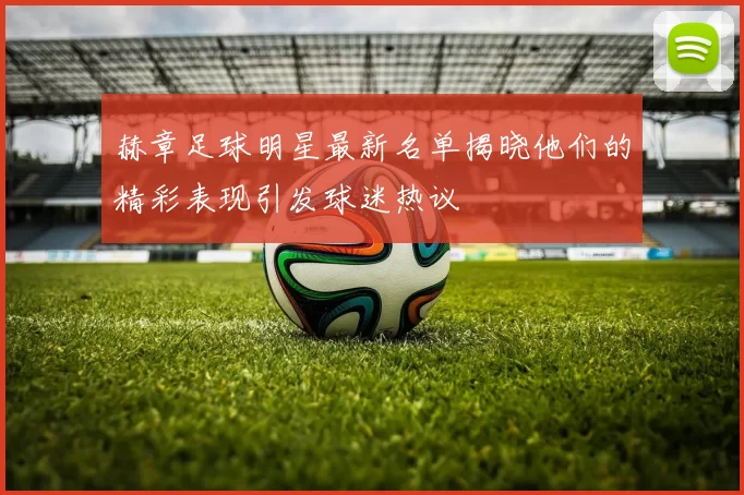 赫章足球明星最新名单揭晓他们的精彩表现引发球迷热议