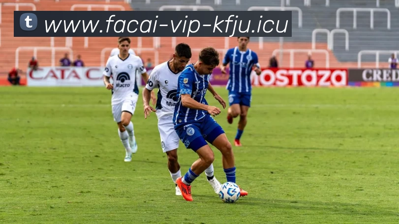 MK体育平台生态图